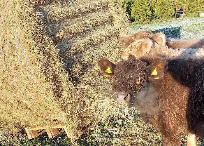 Ferienwohnung Auf Dem Land
